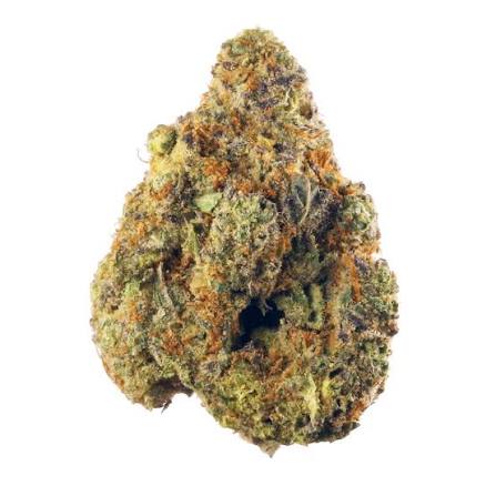 afghan afghan