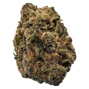 bc strain