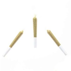 eb joint 3 768x512 1
