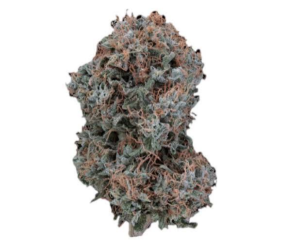 afghani 1 afghani 1