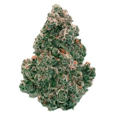 afghani 2 afghani 2