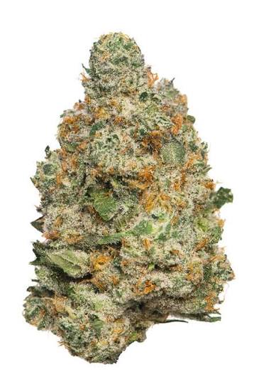 apple fritter 2 apple fritter 2