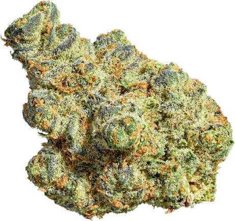 apple fritter 3 apple fritter 3