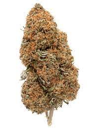 bell weed