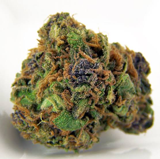 berry 3 berry 3