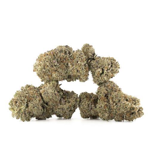 birth day strain 2 birth day strain 2