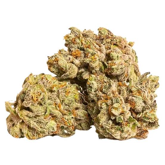 birthday cake strain 1 birthday cake strain 1