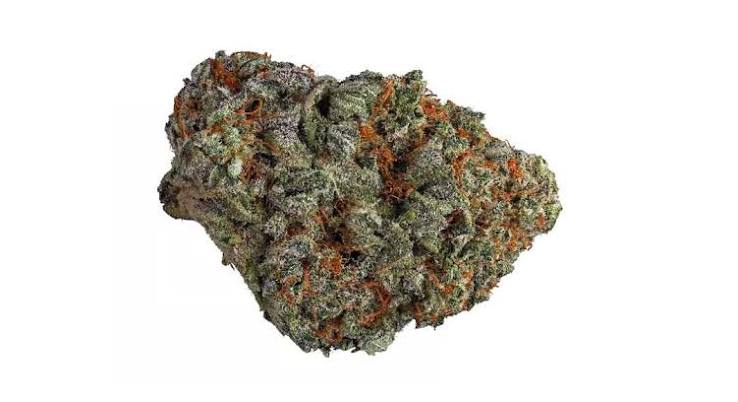 blackberry strain 1 blackberry strain 1