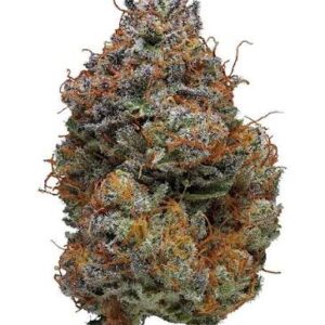 blackbery kush 1