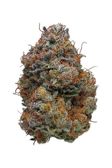 blackbery kush 1 blackbery kush 1