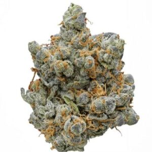 blue cheese strain