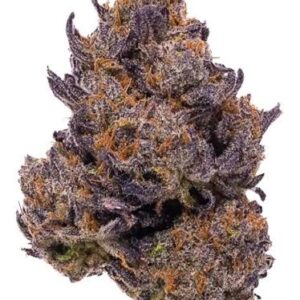 blue dragon 3