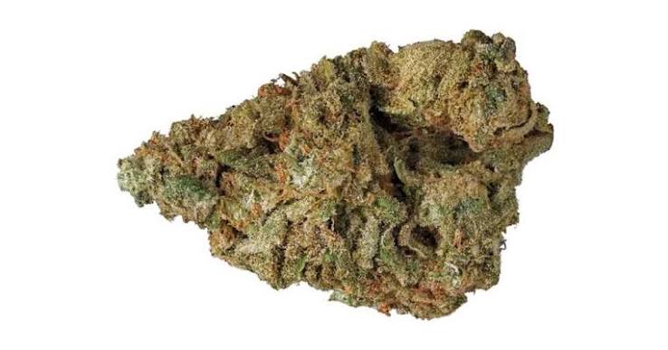 blue widow 2 blue widow 2