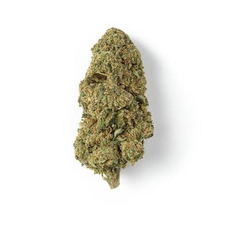 cannatonic 2 cannatonic 2