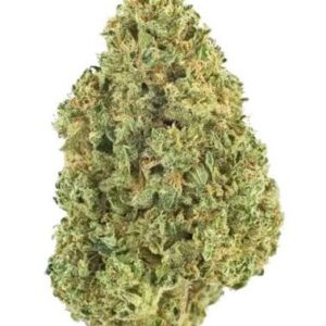 cataract weed strain