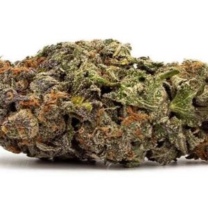 cheeter strain 1