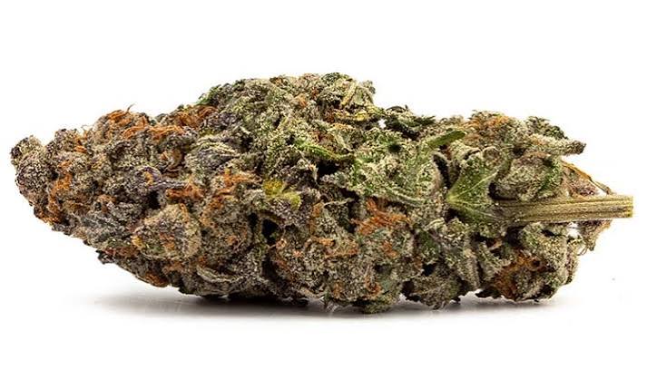 cheeter strain 1 cheeter strain 1