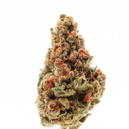 chemdawg 2 chemdawg 2