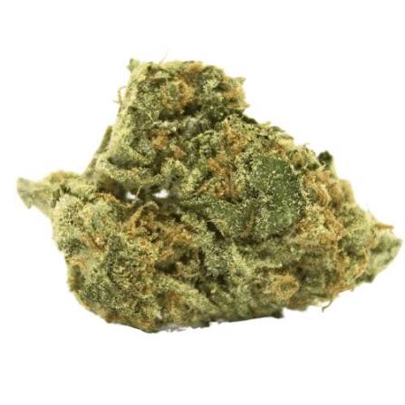 green strain 1 green strain 1