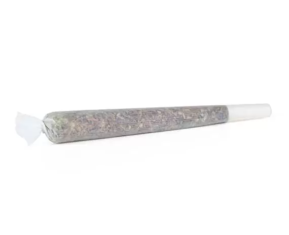 haute health single joint unsmushed 1.jpg 3 haute health single joint unsmushed 1.jpg 3