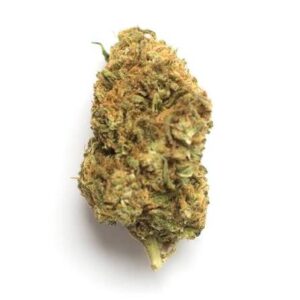 magnum canna