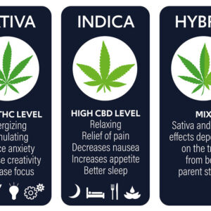 Marijuana Strains