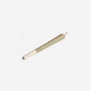 pre rolled joint