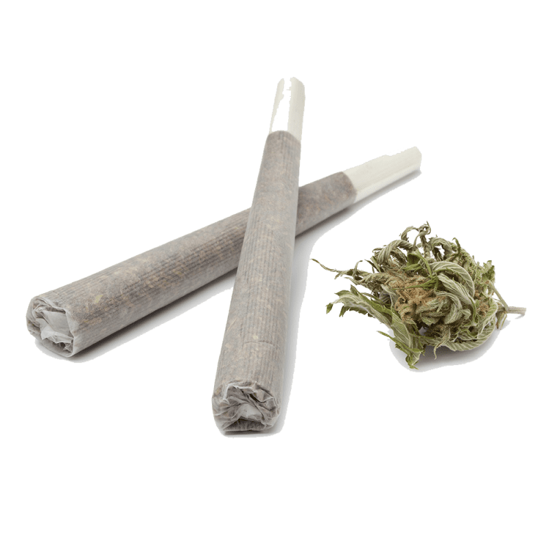 preroll11 preroll11