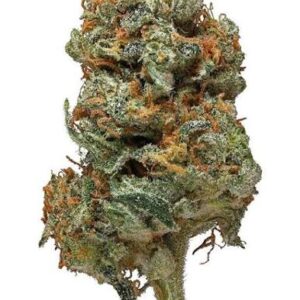 romulan