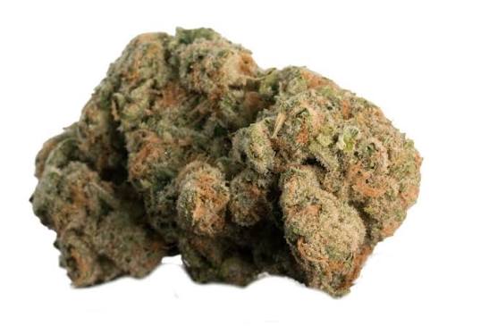 yeager strain 1 yeager strain 1